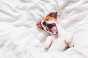 yawn... boring question.